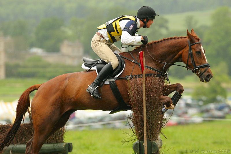 Photo Jumping Horse 3g Side View